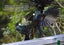 TUI IN OUR GARDEN FREEPOST **BUY ONE GET 1 FREE** Carousel 9