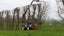 Hedgecutting/Rootsaw Etc Carousel 6