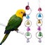 Bird Hammock Set New Carousel 2