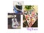 100 PCS Colorful Waterproof Animal Cartoon Punk Stickers For DIY Items Carousel 6