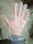 Disposable Plastic Gloves Carousel 4