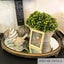 Furniture Chalk Paint Stencils & Interiors Carousel 15