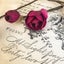 Furniture Chalk Paint Stencils & Interiors Carousel 4