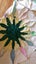 Vintage Gorgeous 12 points Star Quilt top Carousel 5