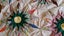 Vintage Gorgeous 12 points Star Quilt top Carousel 7