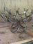 HANGING BASKET - UNIQUE - MADE FROM HORSESHOES Carousel 6