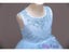3-14 Years Puffy Flower Girl Dresses With Lace Appliques And Ruched Design Carousel 6