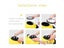 WaterProof Pet Cat Backpack Large Space For Daily Use Carousel 6