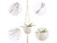 Macrame Plant Hanger Cotton Rope Hanging Planter Basket Carousel 4