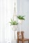 Macrame Plant Hanger Cotton Rope Hanging Planter Basket Carousel 6