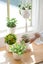 Macrame Plant Hanger Cotton Rope Hanging Planter Basket Carousel 7