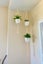 Macrame Plant Hanger Cotton Rope Hanging Planter Basket Carousel 8