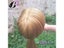 26" Hairdresser Mannequin Head With Blond Hair Clamp Carousel 6