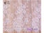 French Eyelash Lace Fabric DIY Exquisite Lace Embroidery Clothes Wedding Dress Carousel 2