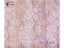 French Eyelash Lace Fabric DIY Exquisite Lace Embroidery Clothes Wedding Dress Carousel 8