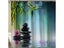 Bathroom Shower Curtain Carousel 5