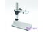 Portable 600X 3.6MP Digital Microscope 4.3" LCD Electronic HD Video Microscopes Carousel 6