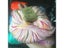 ThinkThings 500g 10balls Lot Milk Cotton Crochet Knitting Yarn Carousel 4