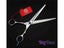 Pet Dog Grooming Scissors Carousel 4
