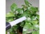 Multi-functional Dust Brush Cleaner Dirt Remover Portable Universal Vacuum Carousel 7