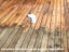 Mould Killer 4L Carousel 4