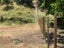 Fencing / Water / Earthworks Services Carousel 9
