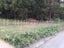Fencing and lifestyle block maintenance Carousel 2