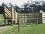 Fencing and lifestyle block maintenance Carousel 8