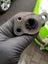 TOYOTA Prius Hybrid HV Battery Testing and Repair Carousel 9