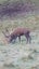 West Coast Hunting - no joining fees Carousel 2