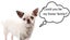 Foster Carers Wanted - MUST BE IN Christchurch / Canterbury! Carousel 4