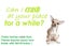 Foster Carers Wanted - MUST BE IN Christchurch / Canterbury! Carousel 6