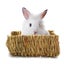 Loading Image 1 of 7