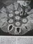STAR CROCHET BOOK Knitting Tatting Pattern Book Carousel 11
