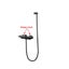 Shower Set with Spout Carousel 11