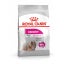 Royal Canin Mini Exigent Small Dog Food 3KG Carousel 1