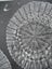Dover Needlework CROCHETING PLACEMATS by Rita Weiss PATTERNS Carousel 5