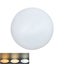 Loading Image 1 of 1