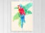 Parrot Bird - Leaves - Green, Red - Contemporary - Wall Art Carousel 1