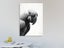 Bird Art - Parrot - Black And White - Contemporary Art - Art Prints Carousel 2