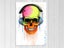 Skull - Music - Pop Art - Day Of The Dead - Colourful - Art Prints Carousel 1