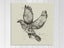 Bird Map - Abstract - Bird Art - Contemporary Art - Wall Art - Art Prints Carousel 1