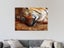 Tiger - Contemporary Art - Animal - Wall Art - Artwork - Art Prints Carousel 2