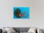 Graffiti Art - Blue - Green - Sea Animal - Pop Art - Wall Art - Art Prints Carousel 2