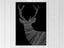 Loading Image 1 of 2