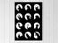 Pop Art - Animal - Circles - Black And White - Wall Art - Art Prints Carousel 1
