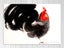 Chicken - Contemporary Art - Black, Red - Bird Art - Wall Art - Art Prints Carousel 1