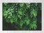 Green - Leaves - Nature - Landscape - Wall Art - Art Prints Carousel 1
