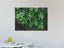 Green - Leaves - Nature - Landscape - Wall Art - Art Prints Carousel 2