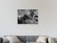 Sheep - Black And White - Forest - Animal - Wall Art - Artwork - Art Prints Carousel 2